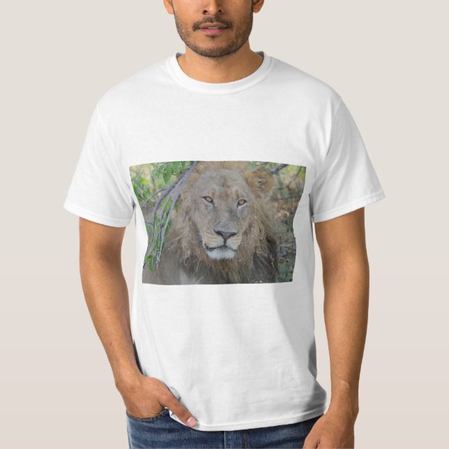 Camiseta Lion King centrado (Anverso)