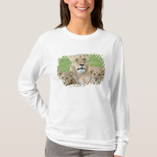 Camiseta Lioness y Two Cubs, África Oriental, Tanzania,