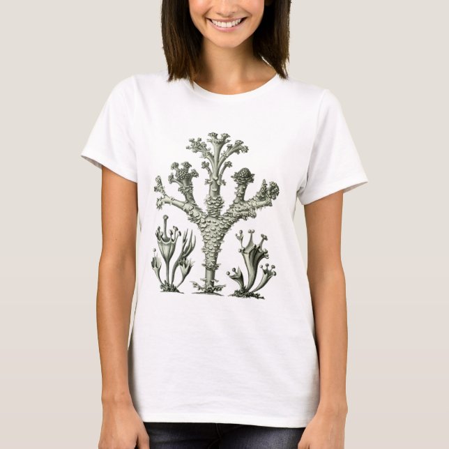 Camiseta Liquen de la taza (Anverso)