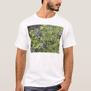 Camiseta Liquen del mapa