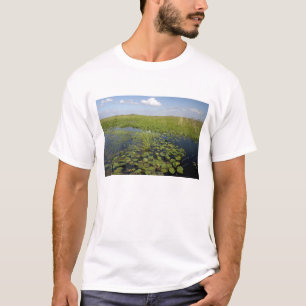 Camiseta Lirios de agua y sawgrass en los Everglades de Flo
