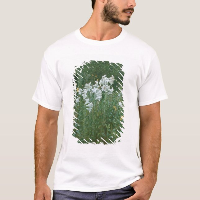 Camiseta Lirios de Madonna en un jardín (Anverso)