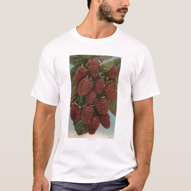 Camiseta Litografía de Chromo de la fruta de (Anverso)