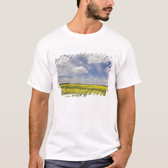 Camiseta Lituania, Lituania Central, Joniskis, campo de (Anverso)