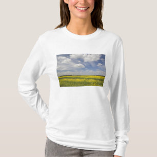 Camiseta Lituania, Lituania Central, Joniskis, campo de
