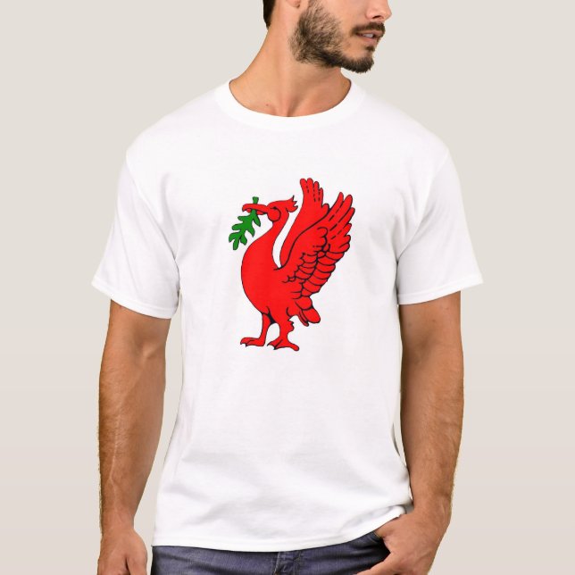 Camiseta Liverpool (Anverso)