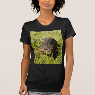 Camiseta Lizarras De Tonga Azul Arrojando En La Hierba,