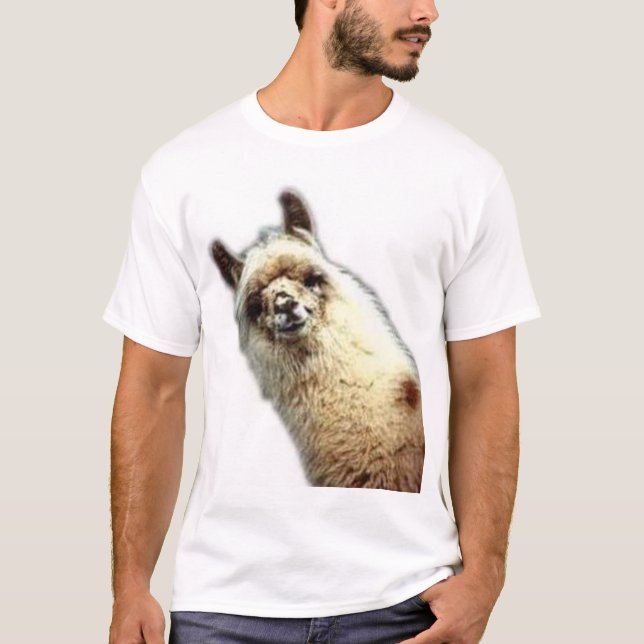 Camiseta llama (Anverso)