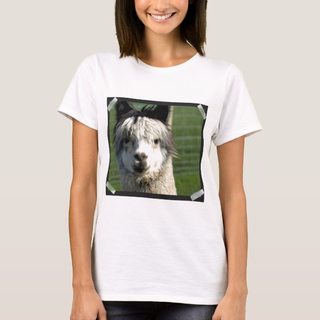 Camiseta llama-4 (Anverso)