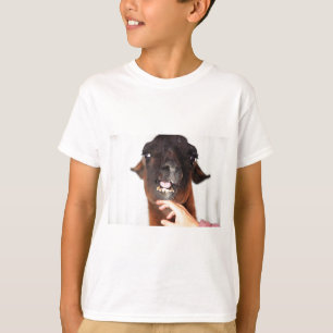 Camiseta Llama amor