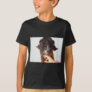 Camiseta Llama amor