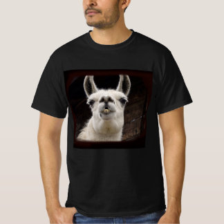 Camiseta Llama Drama – Ich hab dich im Blick