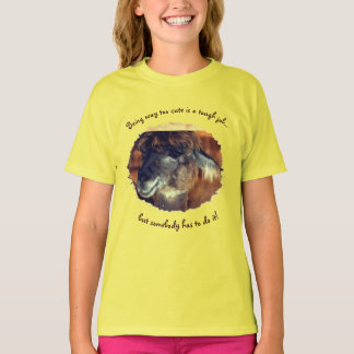 Camiseta Llama muy graciosa