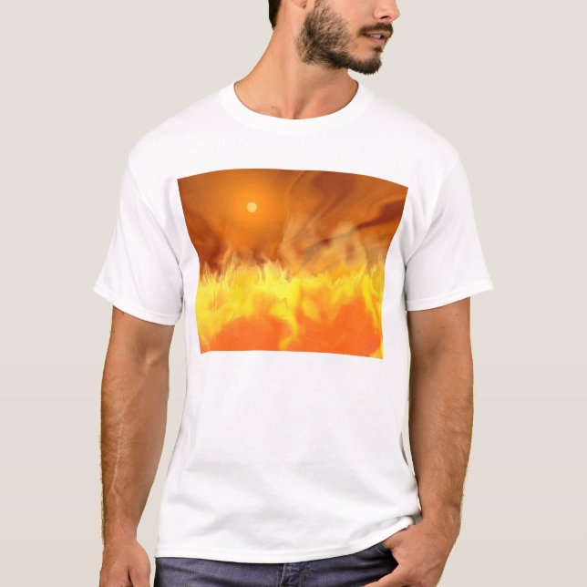 Camiseta Llamas (Anverso)