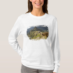 Camiseta Llamas y una vista general de Machu Picchu,