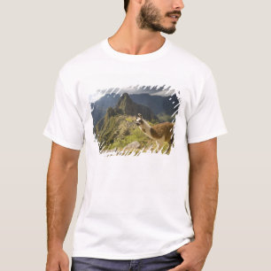 Camiseta Llamas y una vista general de Machu Picchu,