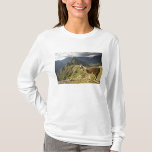 Camiseta Llamas y una vista general de Machu Picchu,