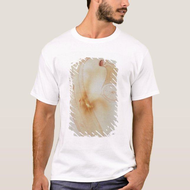 Camiseta Llantén del cuerno (Anverso)