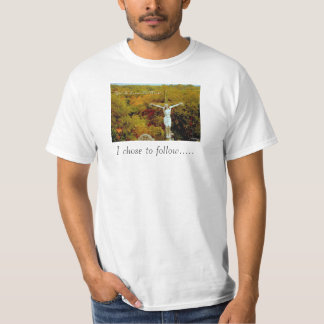 Camiseta Lleve o siga