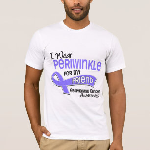 Camiseta Llevo al cáncer del esófago del amigo del bígar