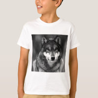 Lobo blanco y negro