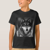 Lobo blanco y negro