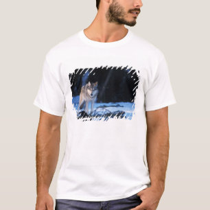 Camiseta lobo gris, Canis lupus, en las estribaciones