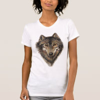 Lobo, lobos, animal salvaje, naturaleza,