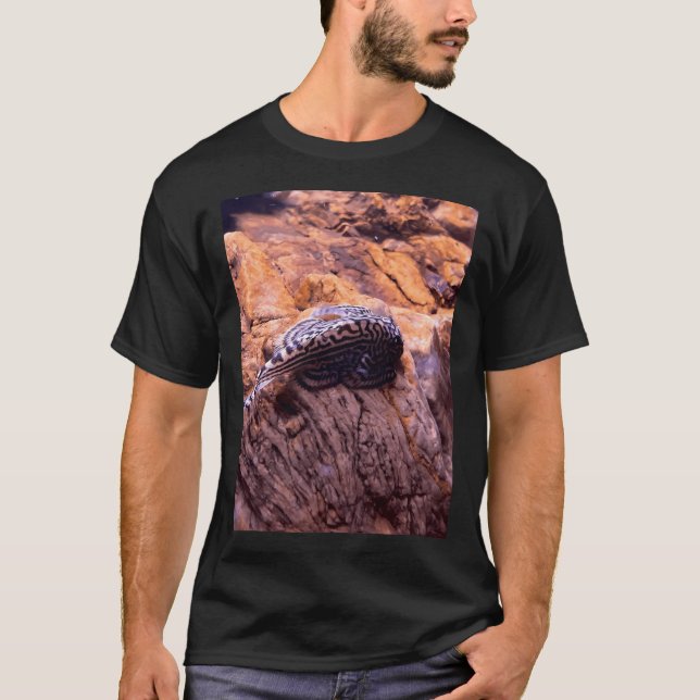 Camiseta Locha de torrente (Anverso)