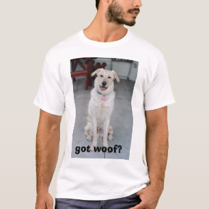 Camiseta Logan en el pórtico