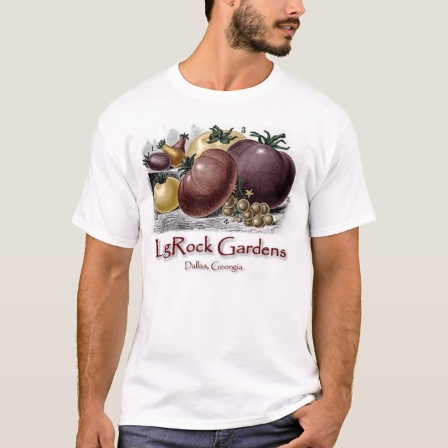 Camiseta LogRock Dallas (Anverso)