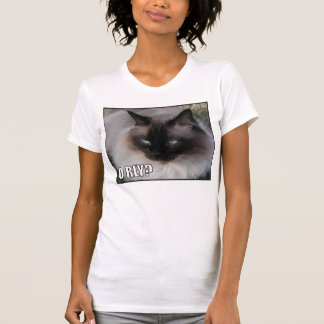 Camiseta LOLCat 4