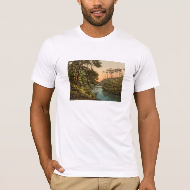 Camiseta Lomo de Branksome, Bournemouth, Dorset, Inglaterra (Anverso)