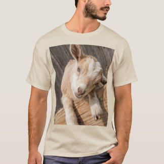 Camiseta Lona de fotografía de granja rústica de cabra bebé