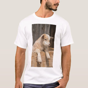 Camiseta Lona para arte de pared de granja rústica de cabra