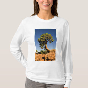 Camiseta Lonesome Cedar, Parque Estatal Deadhorse Point,