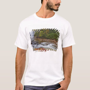 Camiseta Looking Glass Falls en el Pisgah National