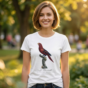 Camiseta Lori de rabadilla azul, Trichoglossus reticulatus