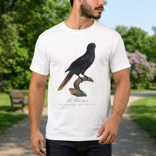 Camiseta Lori negro o Lori de plumas rojas, Chalcopsitta at