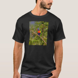 Camiseta Loricito arcoíris