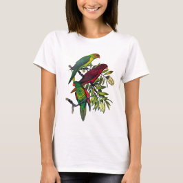 Camiseta Lories y lorikeets