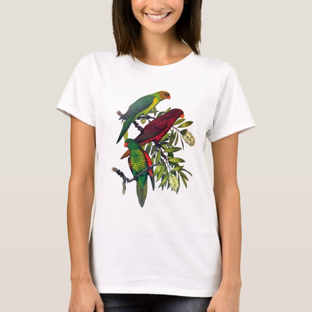 Camiseta Lories y lorikeets (Anverso)