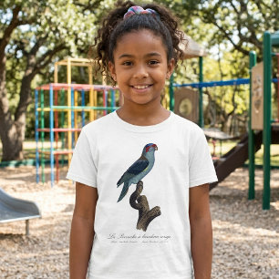 Camiseta Loríquet de Musk, Trichoglossus concinnus