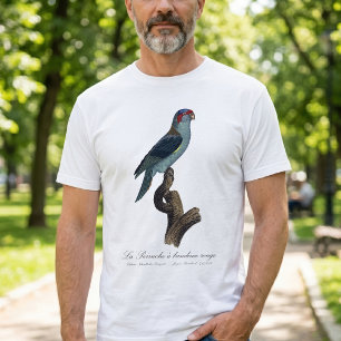 Camiseta Loríquet de Musk, Trichoglossus concinnus