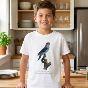 Camiseta Loríquet de Musk, Trichoglossus concinnus