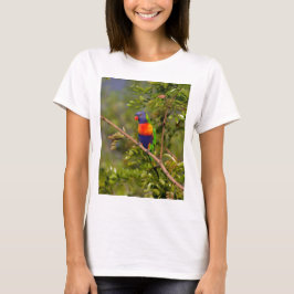 Camiseta Loriquito arcoíris
