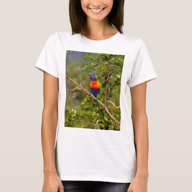 Camiseta Loriquito arcoíris (Anverso)