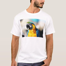 loro
