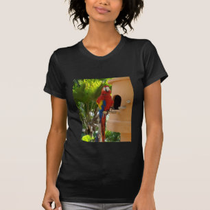 Camiseta loro 5