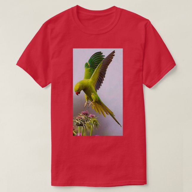 Camiseta Loro colorido 1 (Diseño del anverso)